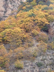 38FBEFD6-8960-4C4D-9C94-02C23E8926D4/L0/001