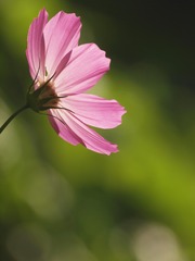 AE4D16D8-EB83-40DC-B580-97381F4CC97C/L0/001