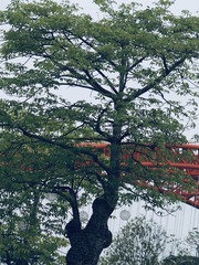 C7243E7B-875F-4954-BEB1-614C5C66541C/L0/001