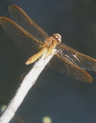 6322F4FC-0DBB-4EC8-AA64-5F0424C5F71F/L0/001