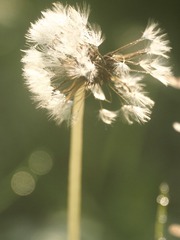 D1687F23-D3BB-47E3-8FA8-8951D293F17D/L0/001