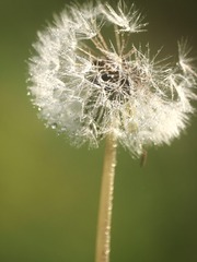 7C7E02D8-20E1-4CBE-8C31-135A217E20F5/L0/001