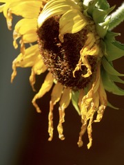 A94C6593-3A74-49D7-B5CE-E8E1B788D649/L0/001