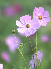 D886F3DC-266B-43F1-92EA-89C5F07C753E/L0/001