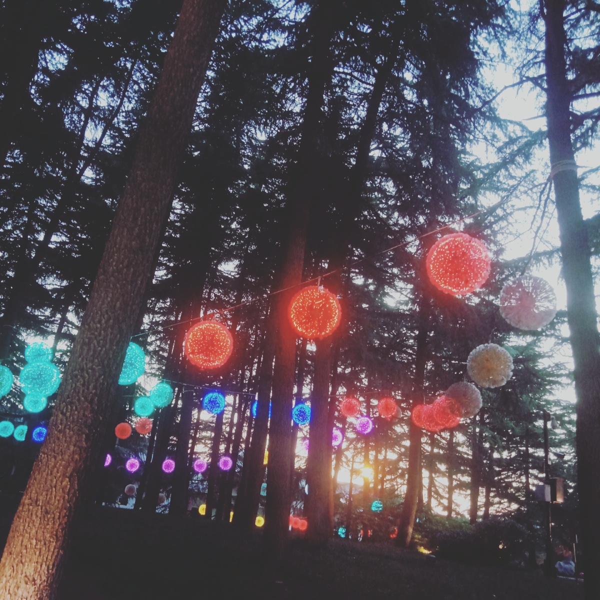 78张卡点走一波开心呦