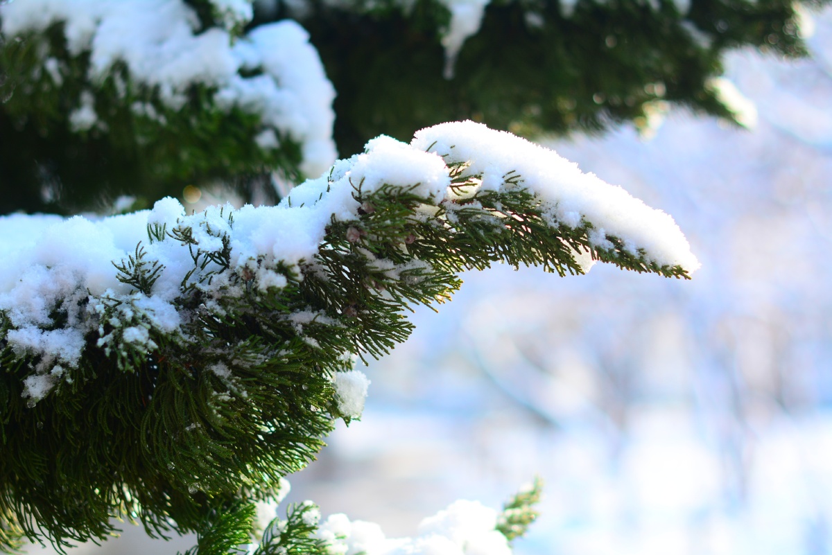 木木夕爱摄影 - 图虫