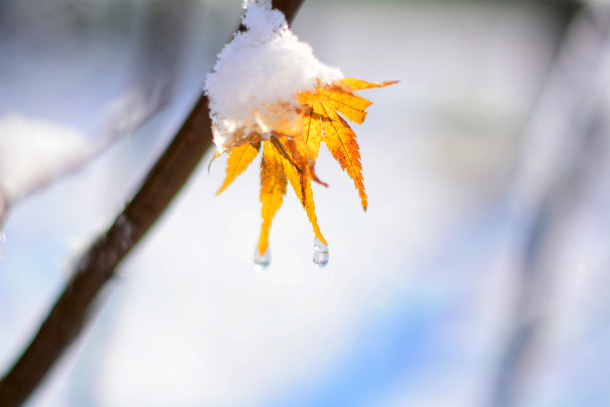 木木夕爱摄影 - 图虫