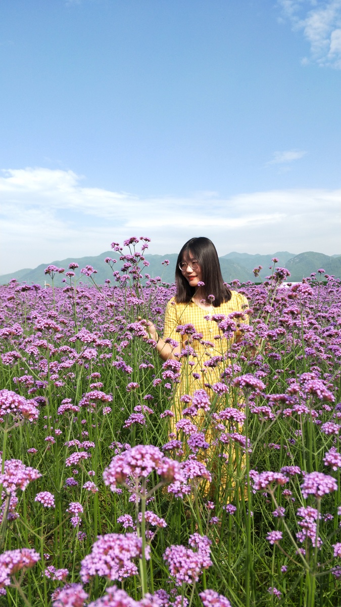 那年夏天笑靥如花