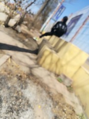 1184815