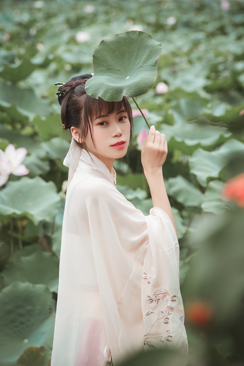 荷花古风人像