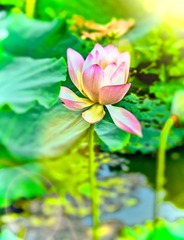 001