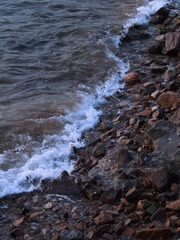 D341E1EE-6329-4759-877D-790F722CEE03/L0/001
