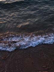 D752292F-8C90-4FC9-A82E-8E9F0620DB6C/L0/001