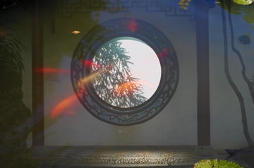 BFCB0CDA-B1F8-4DEA-A75D-D0C733284844/L0/001