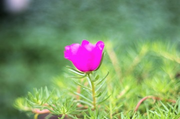 DFD1AE56-52B0-4143-B6DC-7A6E4FB05F59/L0/001