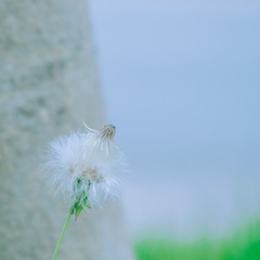 1170508
