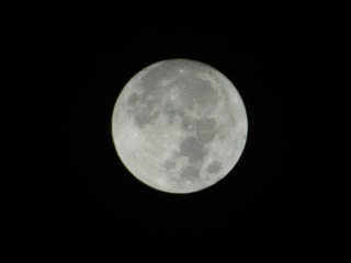 5447251
