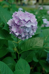 E5137AE2-44C7-4999-9E5A-C064DD67F534/L0/001