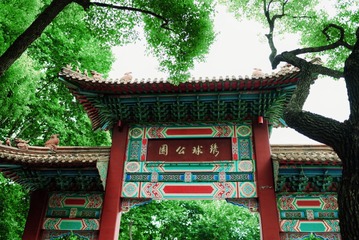 89C39C99-261C-4192-ADAD-562F51CA739A/L0/001