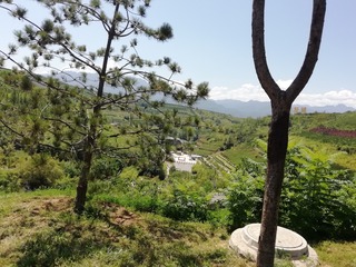 2013047