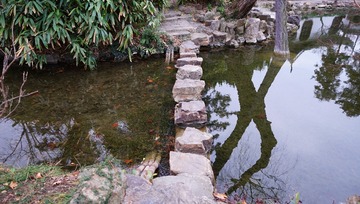 DSC03054