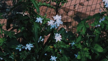 22BB2F88-15C9-4D3C-B923-AA0464360ED6/L0/001