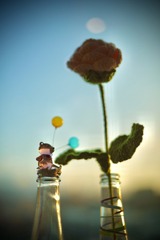 72270573-A4EB-4ABC-97D1-13F2F6FD2159/L0/001