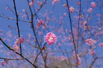 2B4487CA-A845-490C-B02E-E907AF0A7024/L0/001