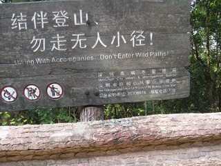 35034