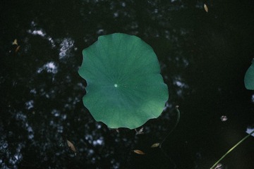 AB12C2F3-1881-46CF-B5EE-063CA7D0C9BD/L0/001