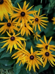 A2B624C2-4AF2-4244-AF28-4797574A6AD3/L0/001
