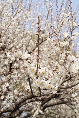 E7B45BDA-C5FA-484F-9180-B9E46A291FE3/L0/001