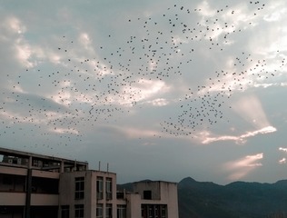 393658