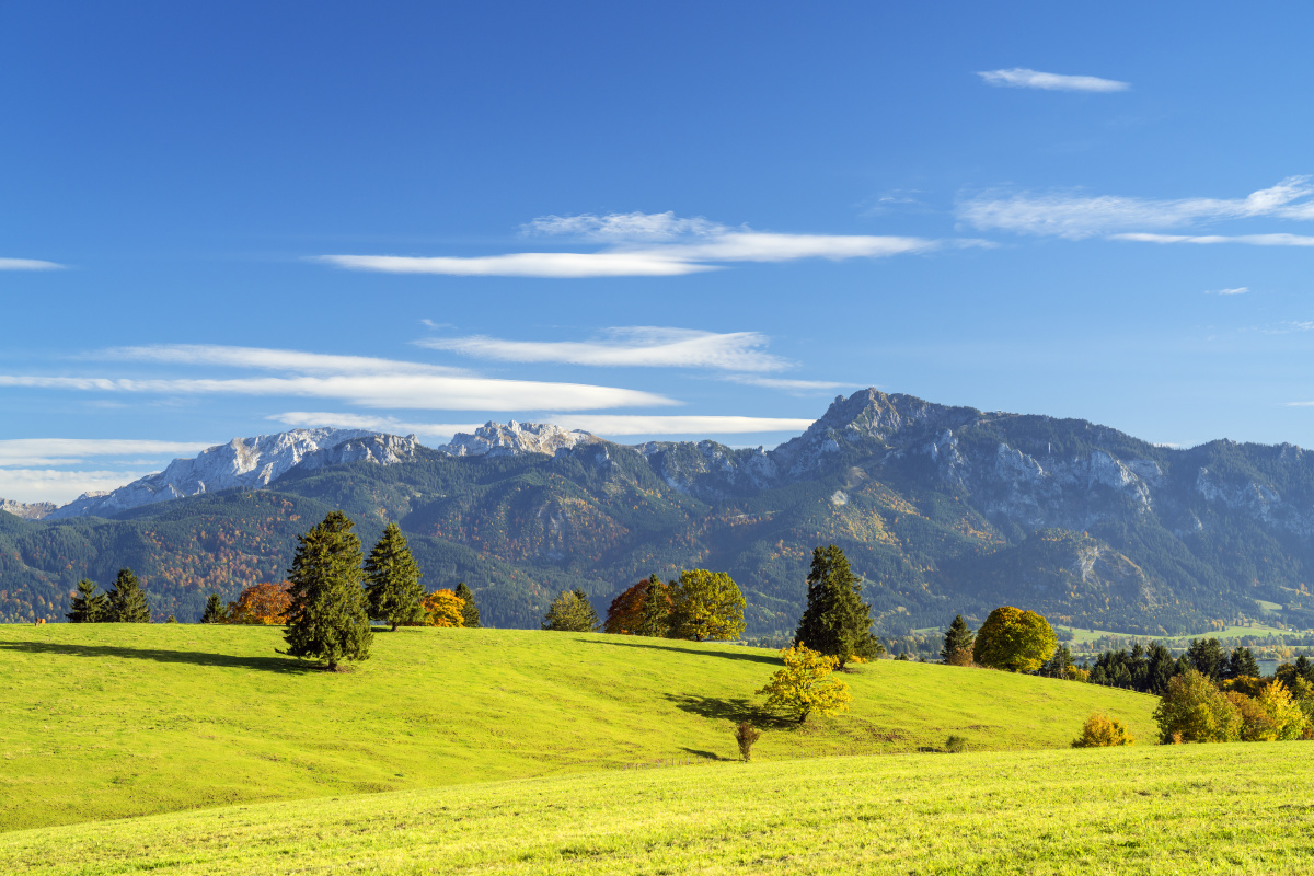 最后的上海弄里 - 莲峰居士 - 图虫网 - 优质摄影师交流社区