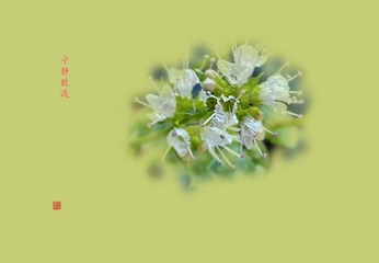 1E2FF171-154B-4D4C-8523-CCE27C60EF48/L0/001