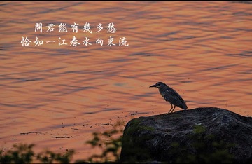 7D6B3983-92F7-45E0-B814-974D3DFC9EAA/L0/001