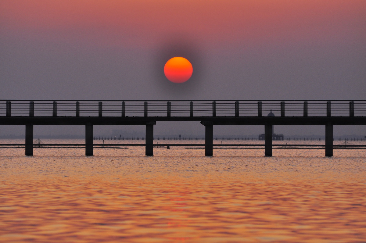 夕阳无限好只是近黄昏昨天去常州的滆湖湿地拍了一次日落很治愈