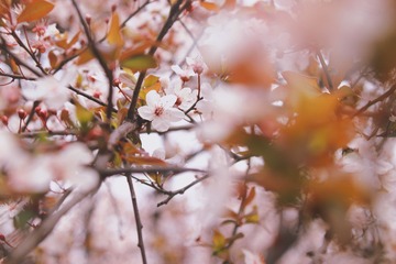 D0E6407D-B560-4328-B45E-01728E8F2305/L0/001