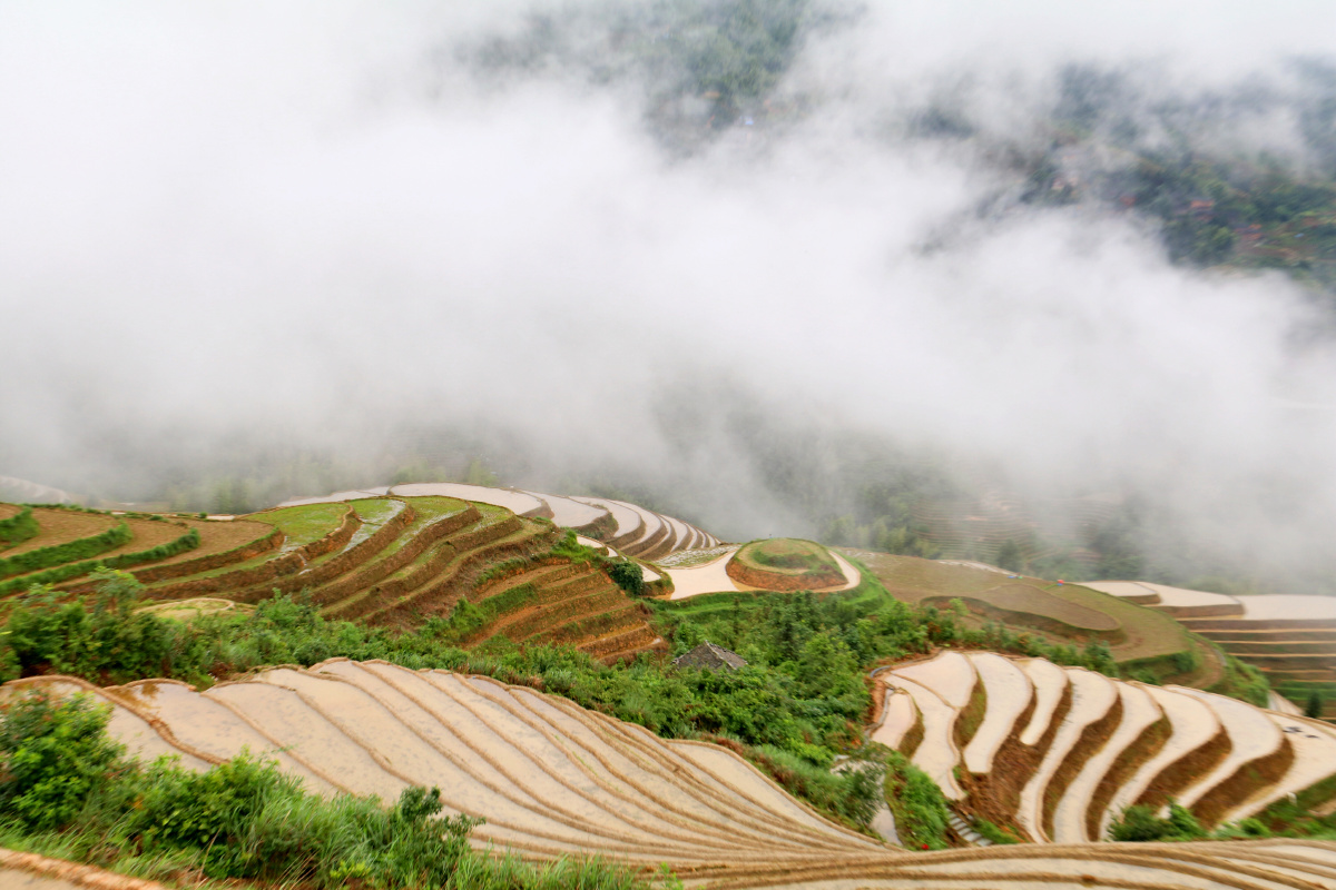 灌水中的龙脊梯田