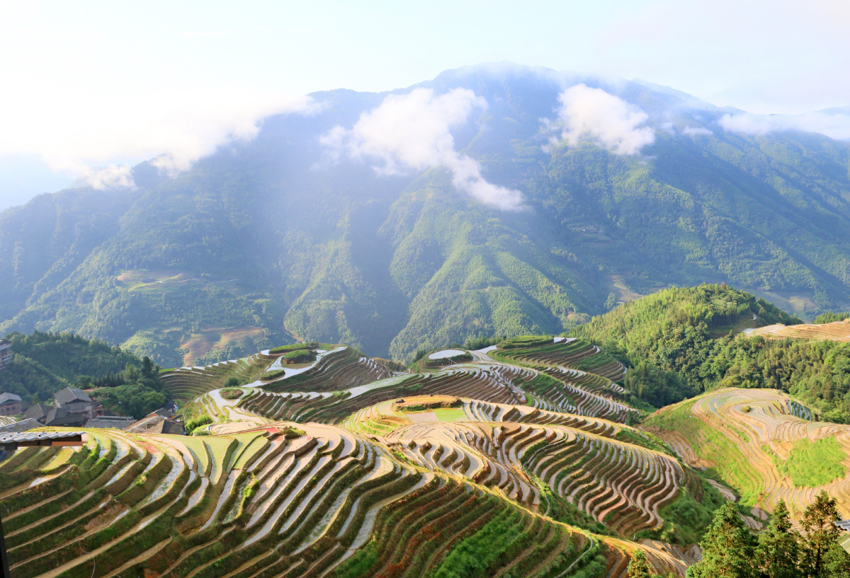 灌水中的龙脊梯田