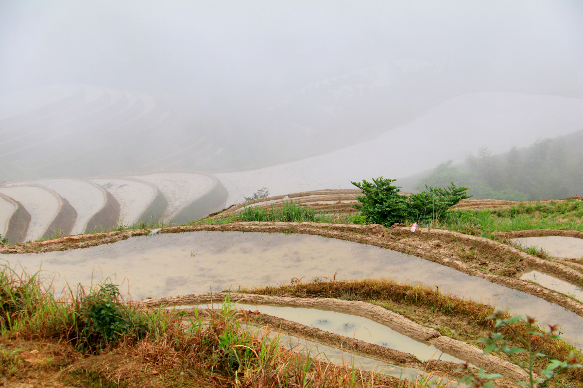 灌水中的龙脊梯田