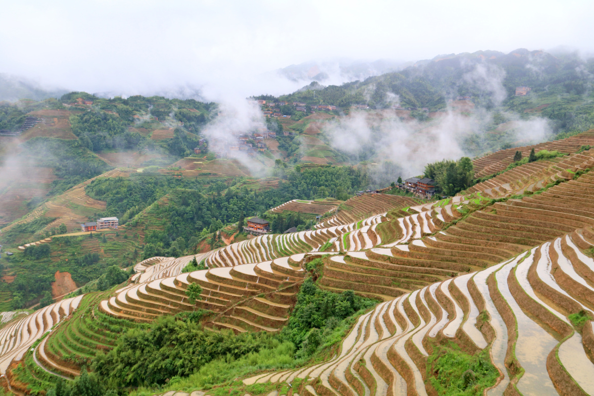 灌水中的龙脊梯田