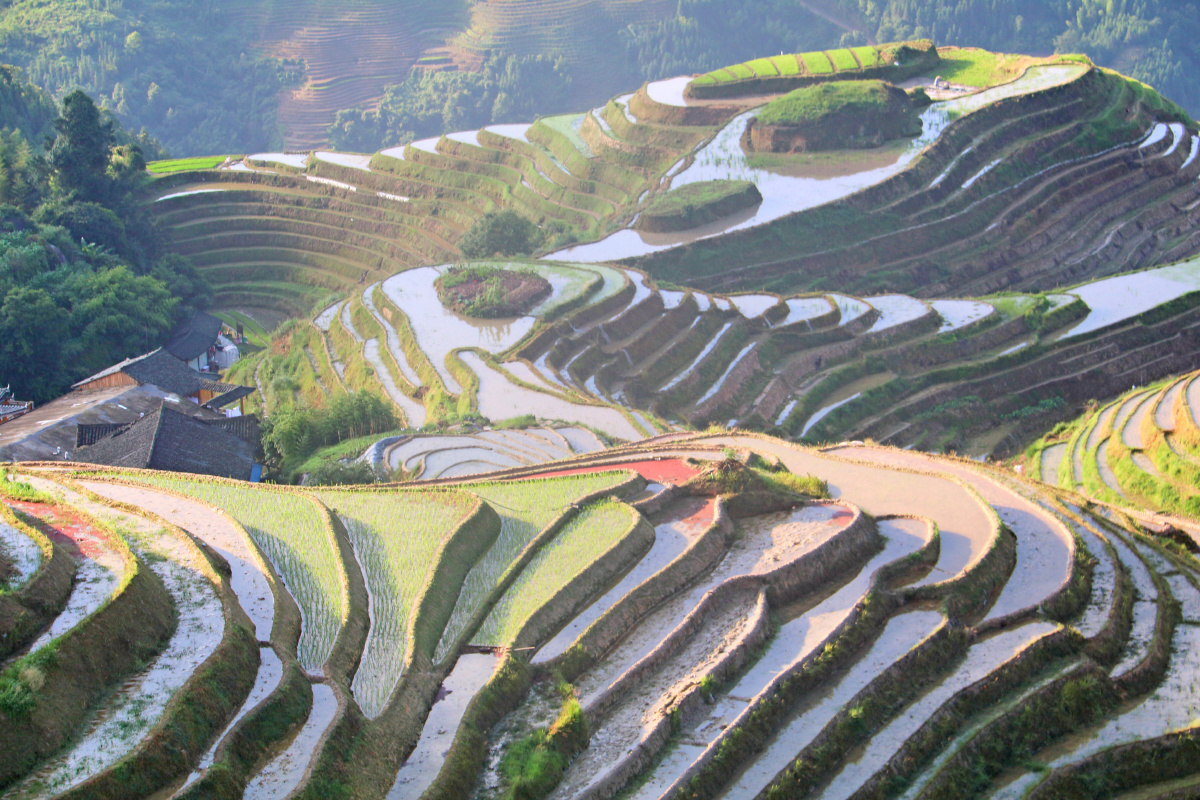 灌水中的龙脊梯田