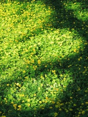 01F3295D-927B-4EAB-AD70-F82E740A7C2F/L0/001