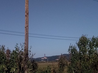 374531