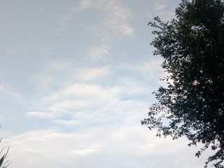 292209