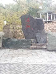 425259