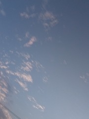 292219