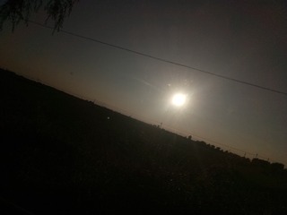 292502