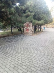 425256